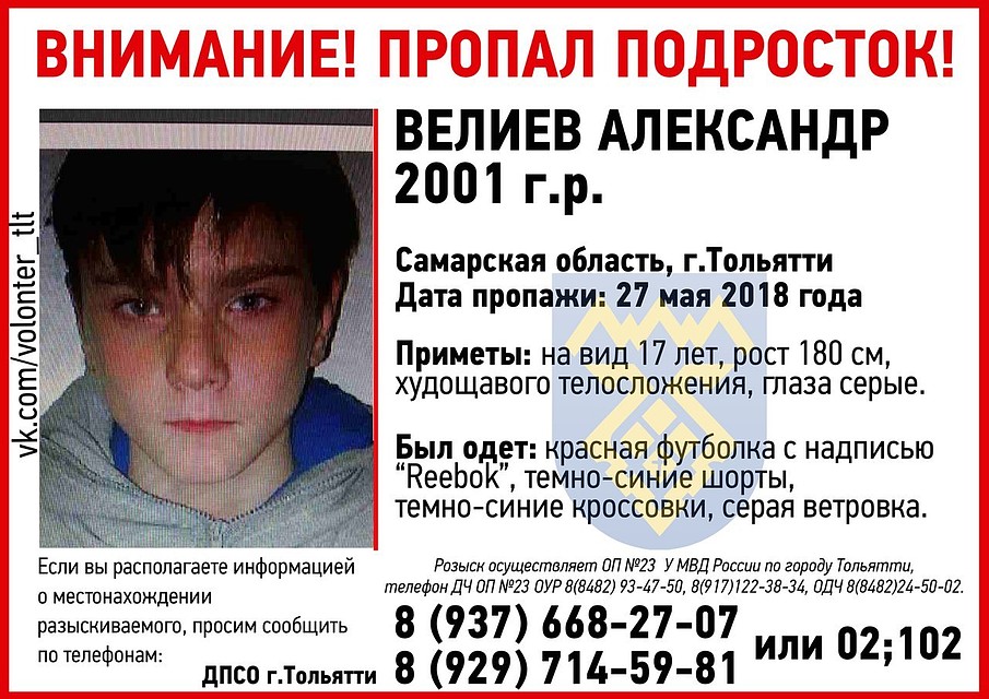 Фото: ДПСО Тольятти