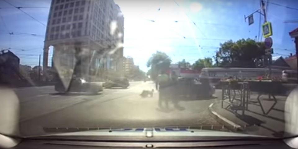 Фото: Скриншот с видео