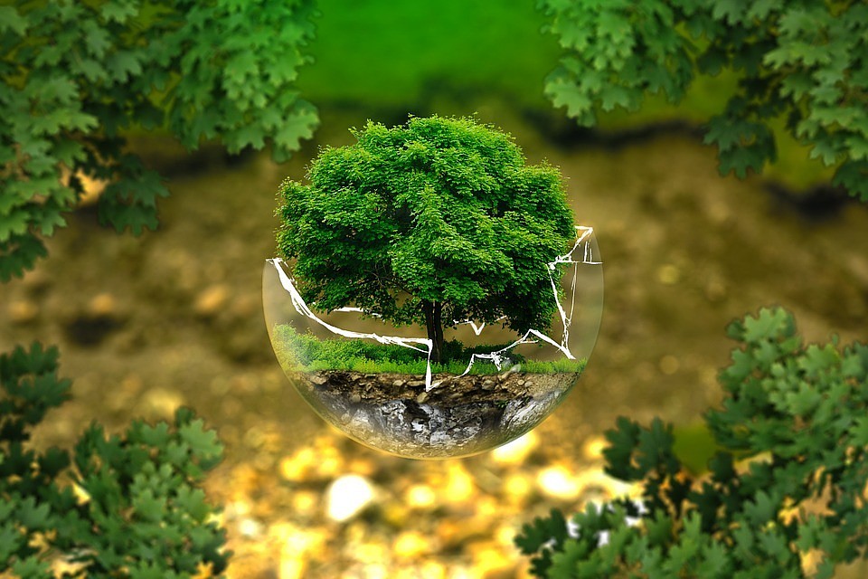 Фото: Pixabay