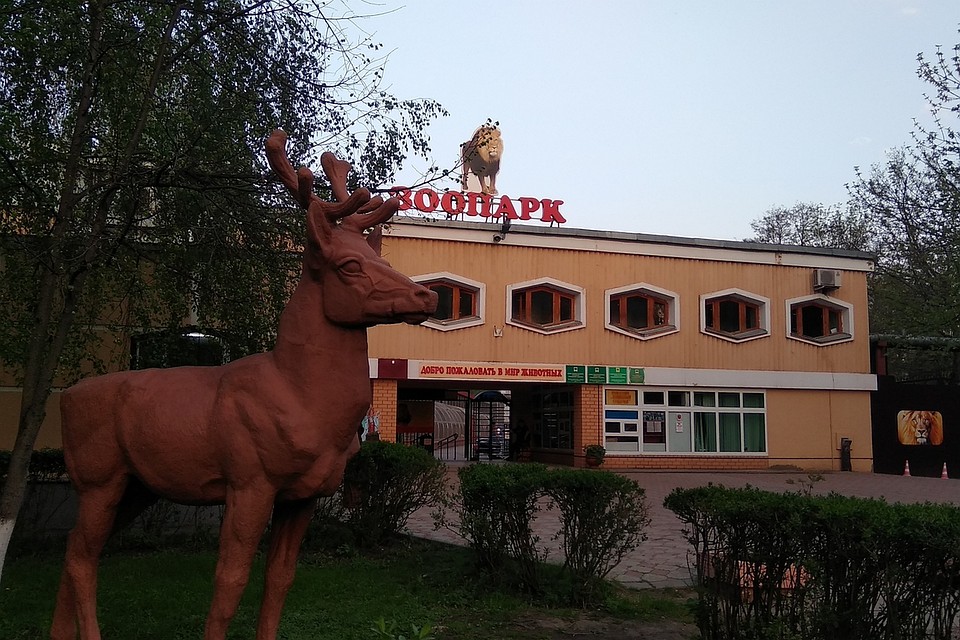 В Липецком зоопарке на свет появились малыши