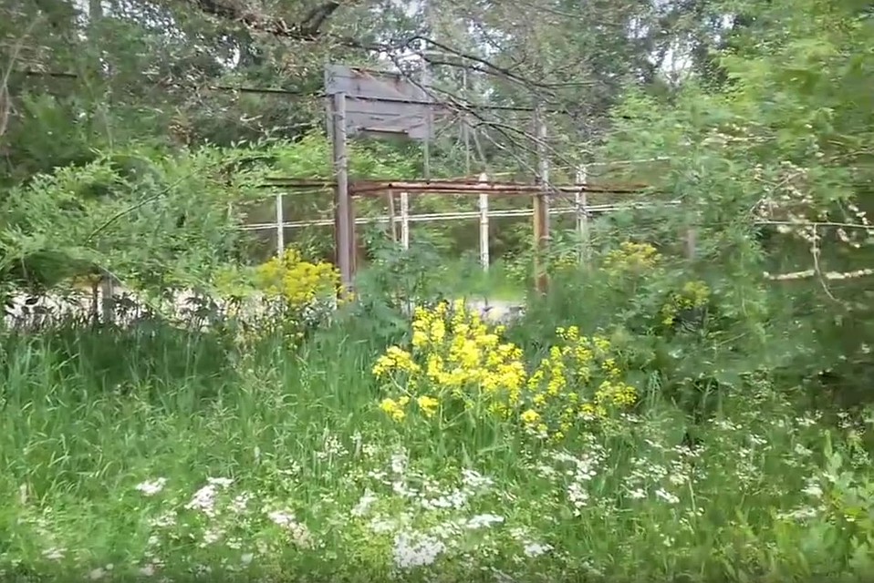 Кадр из видео vk.com/ozersksecret