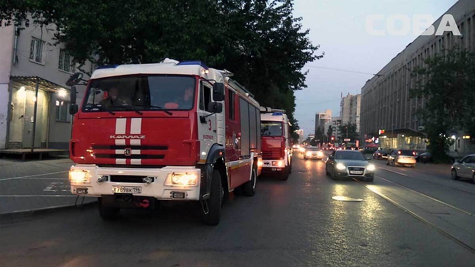 Фото: служба спасения "Сова"