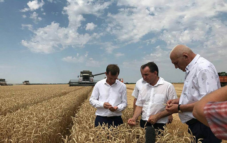 Фото: администрация Краснодарского края