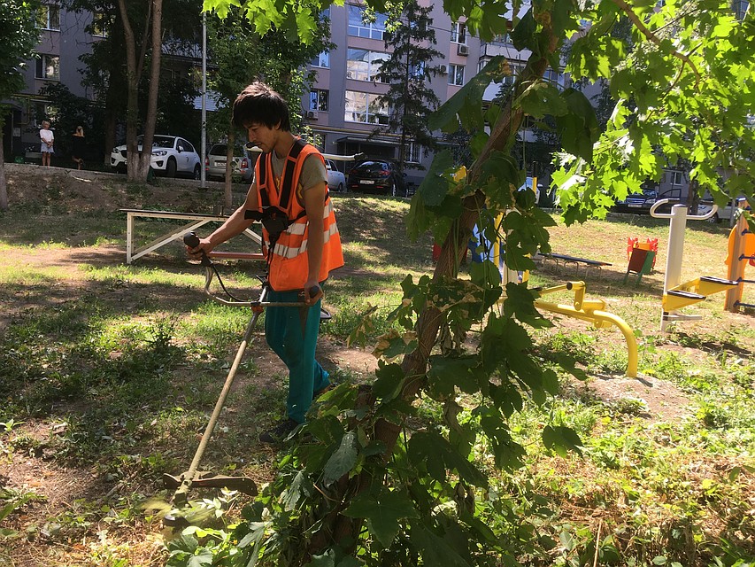 В Самаре скашивают траву, и не напрасно