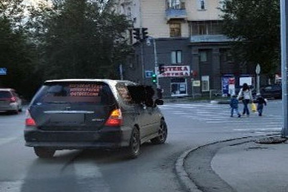 Пони в машине впечатлило сибиряков.