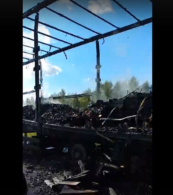Фото: скрин видео из соцсетей