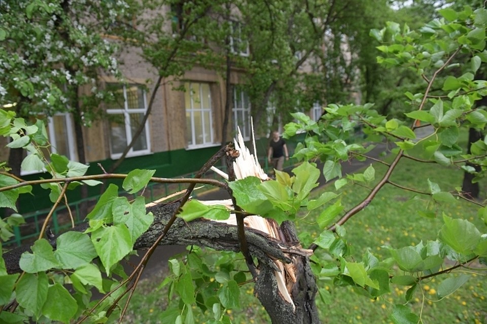 В Ярославской области ждут ливень и град.