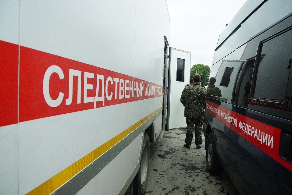 Убийцу ищет полиция и следственный комитет.