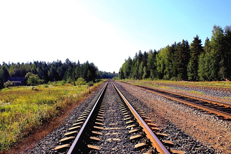 ФОТО: pixabay.com