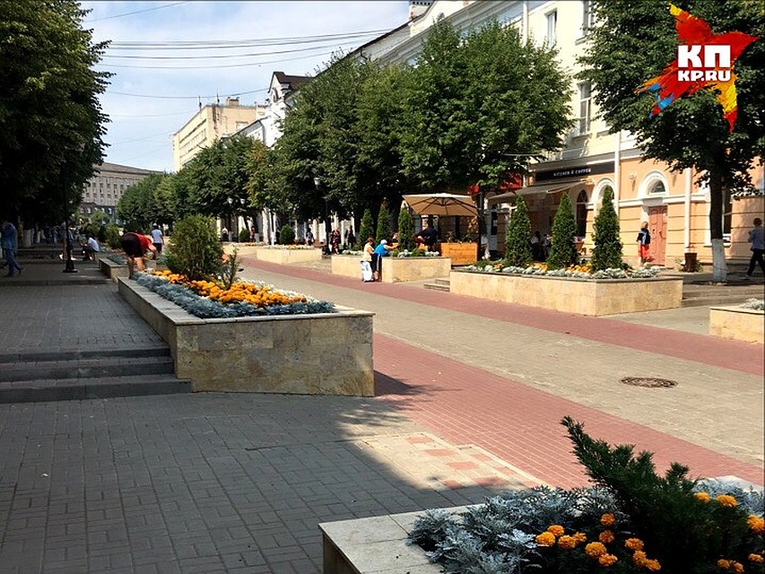 На орловских клумбах посадят 35 тысяч цветов