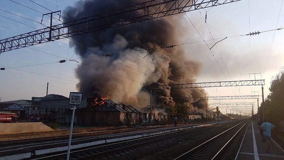 Фото: соцсети