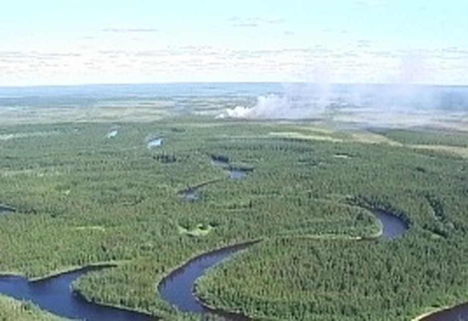 В Тазовском районе из-за грозы загорелся лес Фото: 89.mchs.gov.ru