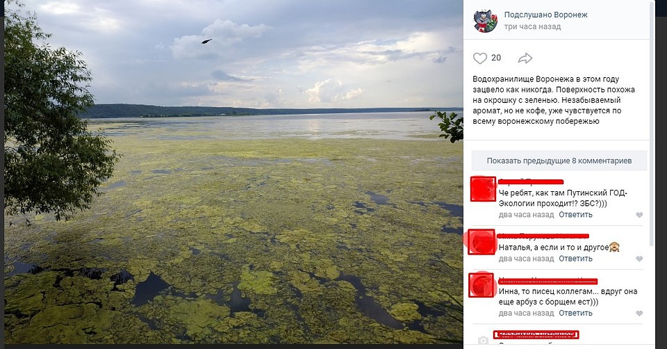 Фото: соцсети.