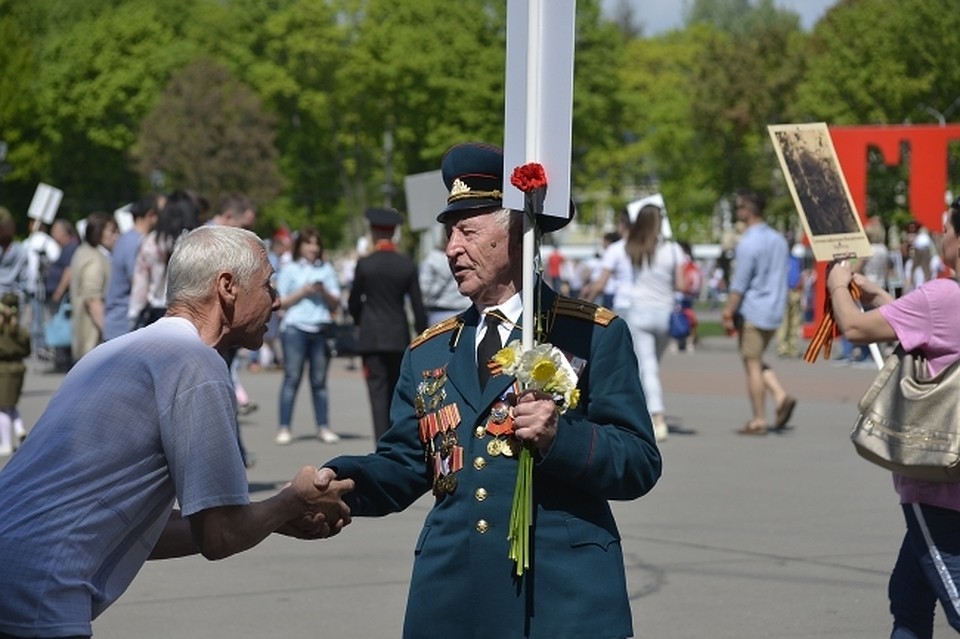 В области действует программа поддержки ветеранов