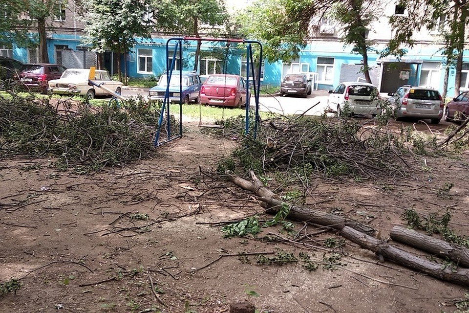 Фото: соцсети