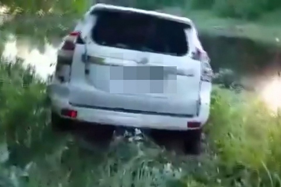 Фото: скриншот видео