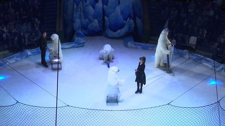 Фото: circus-ryazan.ru