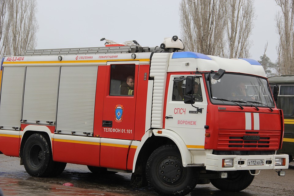 Погодный условия могут спровоцировать пожары в лесах