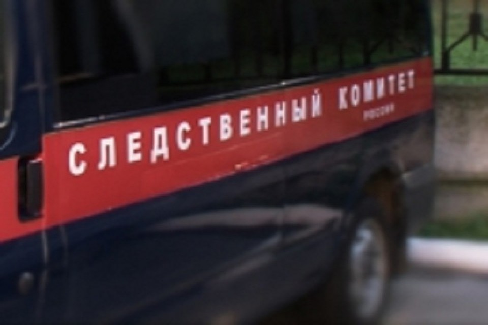 Мать ребенка сейчас ищут правоохранительные органы. Фото: пресс-службы СУ СКР по Волгоградской области