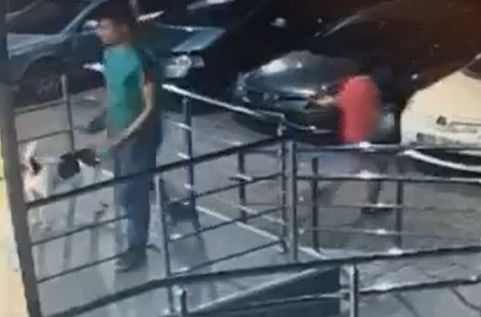 Собачку оставили у входа в магазин, а какой-то парень ее просто увел. Фото: соцсети