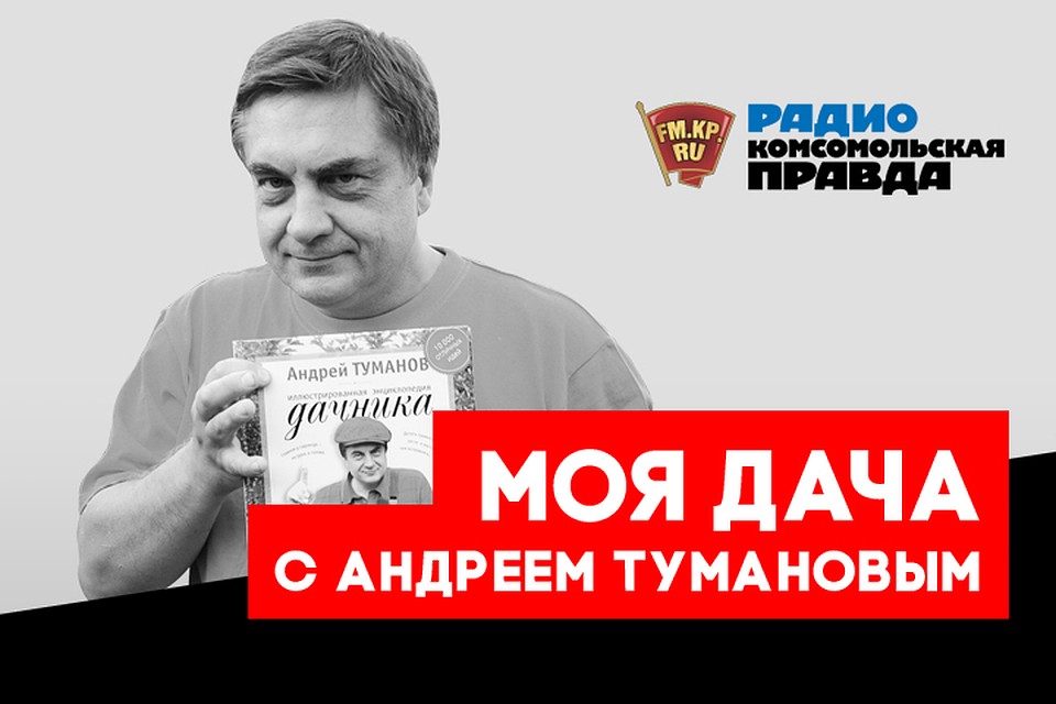 Яблоку негде упасть. Что делать с большим урожаем