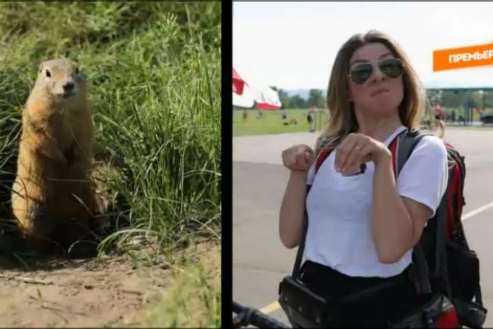 Фото: стопкадр с видео телеканала Пятница