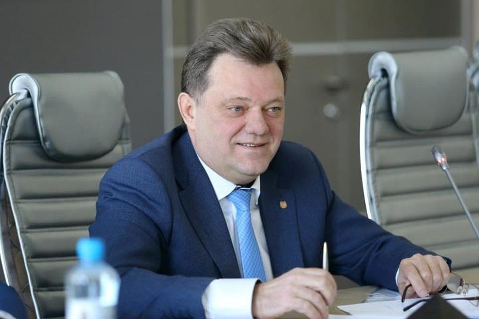 Для посадок используют взрослые саженцы