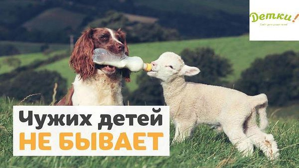 Постоянные посетители портала предложили "фото на паспорт" в честь 14-летия