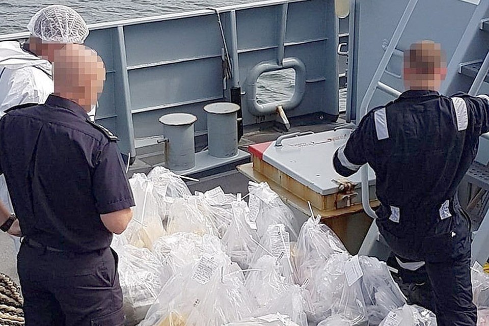 В Великобритании задержаны эстонец и латыш, находившиеся на набитой кокаином яхте. Фото: NCA