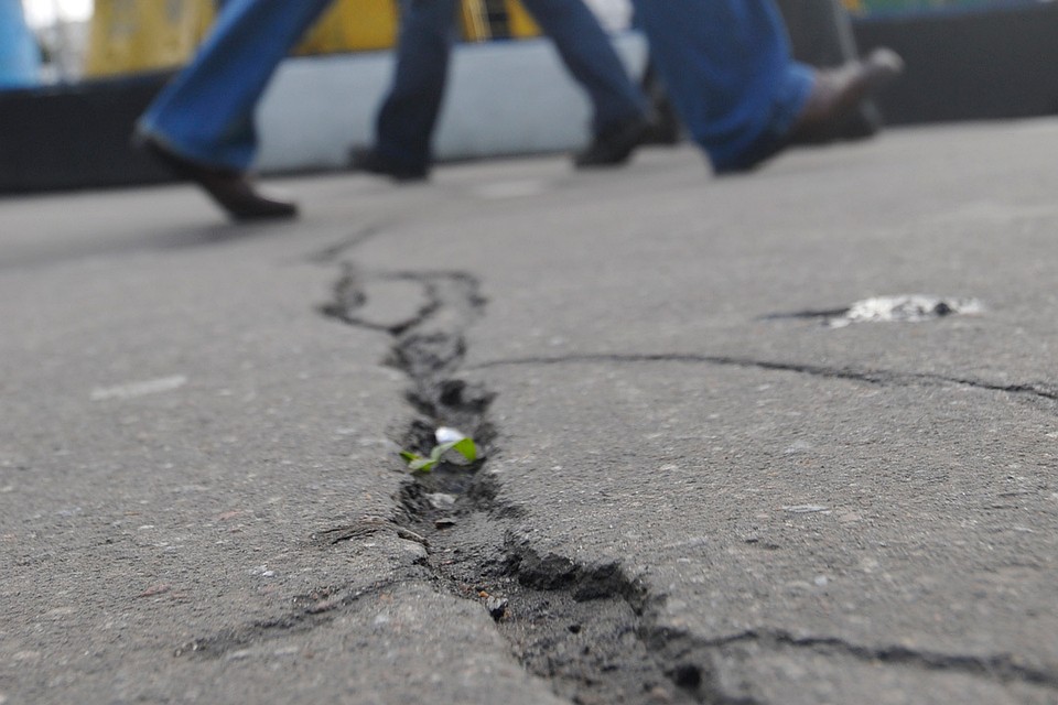 Фото: Олег РУКАВИЦЫН