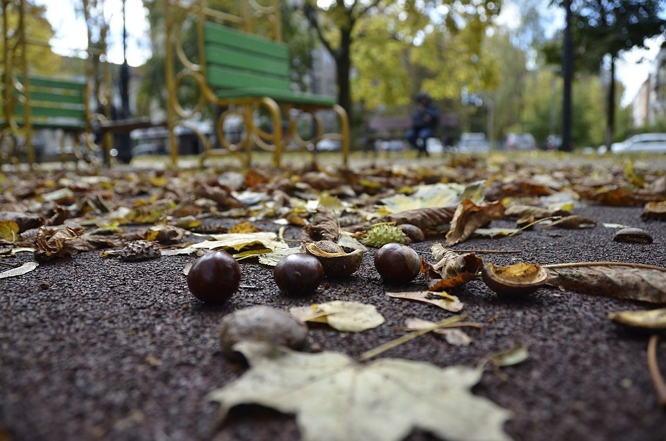 Фото: Алексей ФОКИН