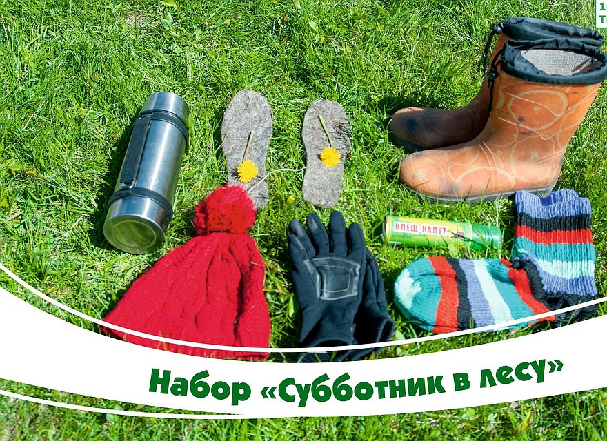 Тюменцев приглашают на лесной субботник