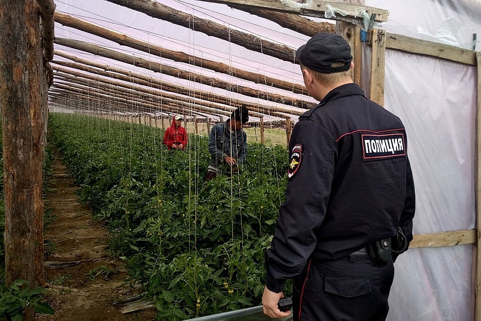 Мало того, что эти "овощеводы" поливают урожай неизвестными химикатами, так они еще и природу губят.