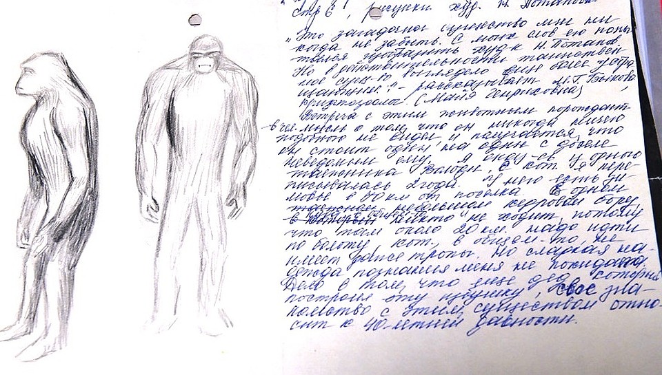 Очевидцы снежного человека в районе Ловозера рисуют его таким. Показания очевидцев хранятся в здешнем музее