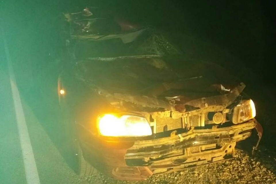 Лось внезапно начал перебегать трассу прямо перед движущейся машиной. Фото: пресс-служба УГИБДД УМВД России по Кировской области