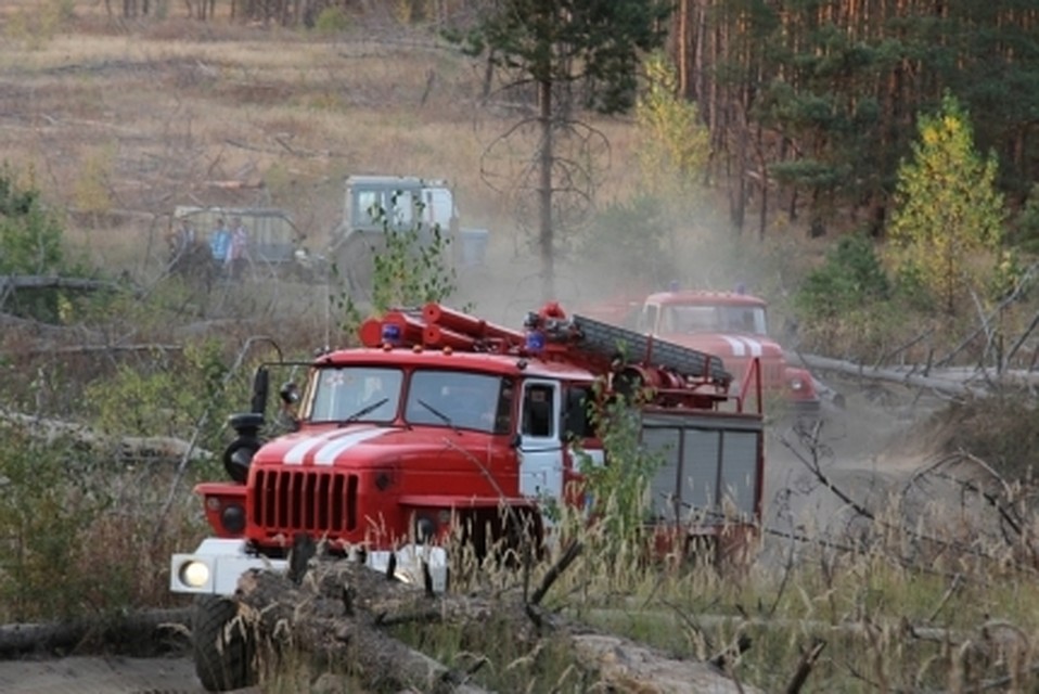 фото с сайта ГУ МЧС по воронежской области