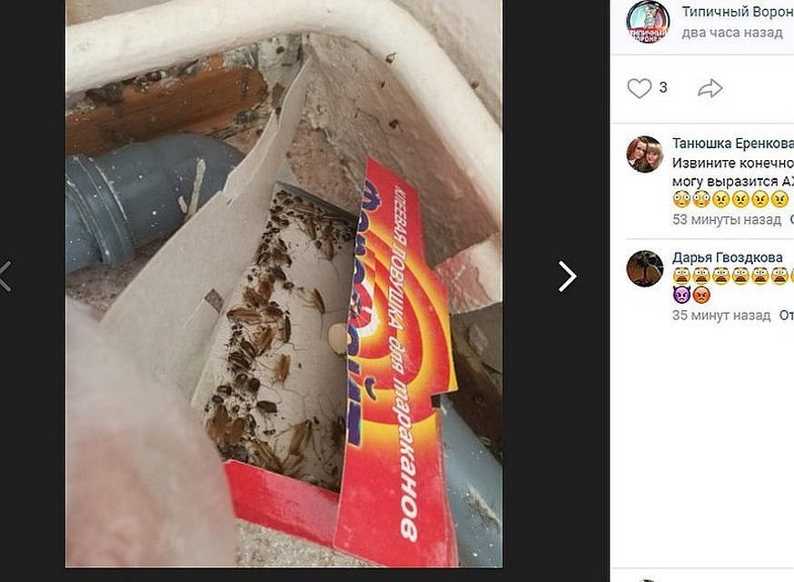 Скриншот в сообществе "Типичный Воронеж"