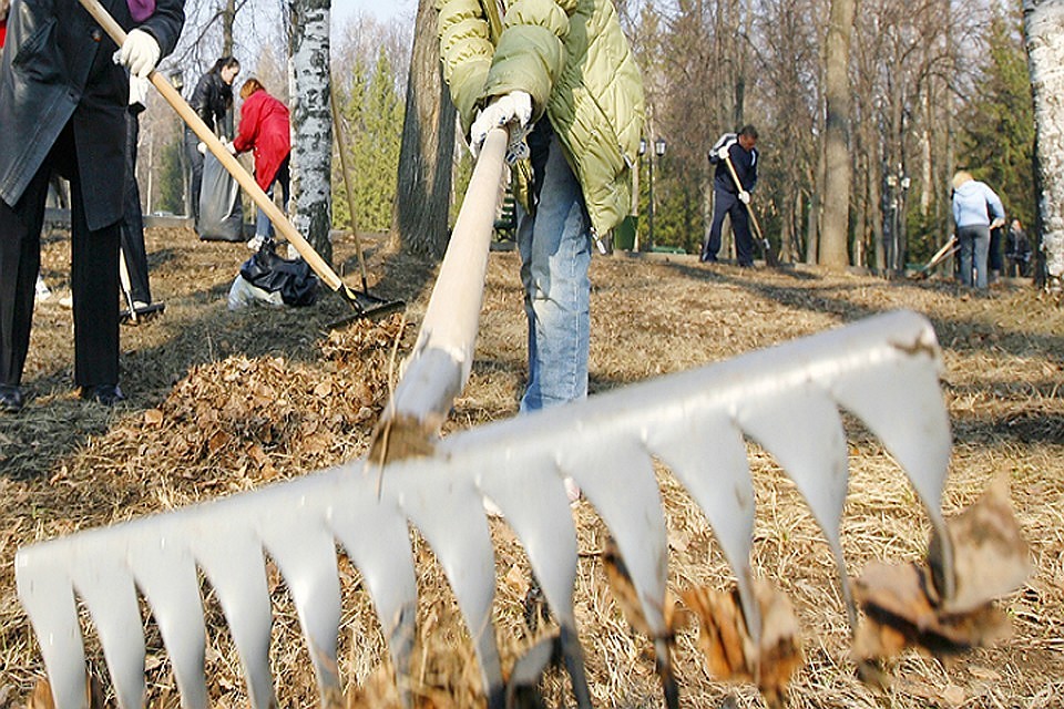 Белгородцев приглашают на большой субботник.