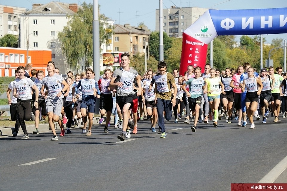 фото предоставлено администрацией города Владимира