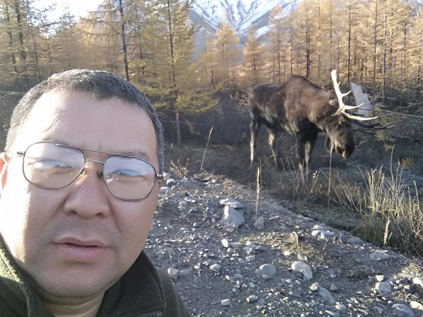 Благодаря этому необычному селфи о лосе, попавшем в западню, узнали специалисты.