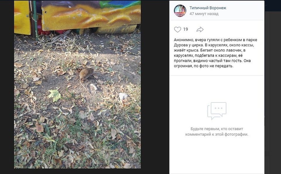 Фото: скришнот соцсети.