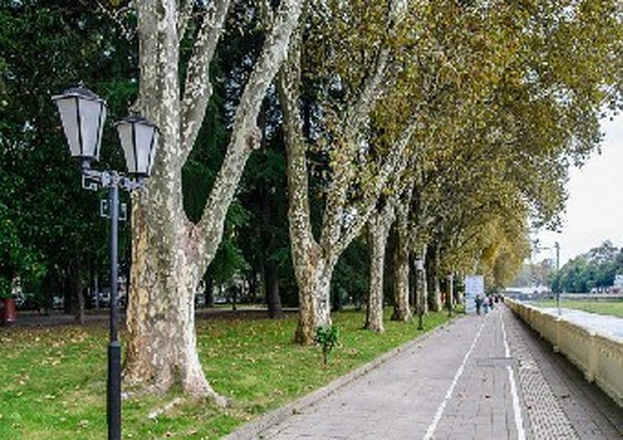 Фото: администрация Сочи