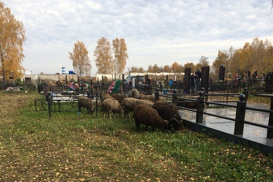 Фото: "ВКонтакте"/Наталья Буракова