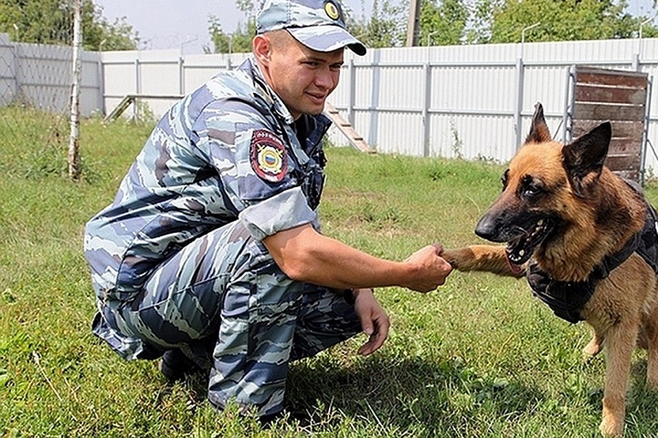 Корм в Татарстан будут завозить двумя партиями.
