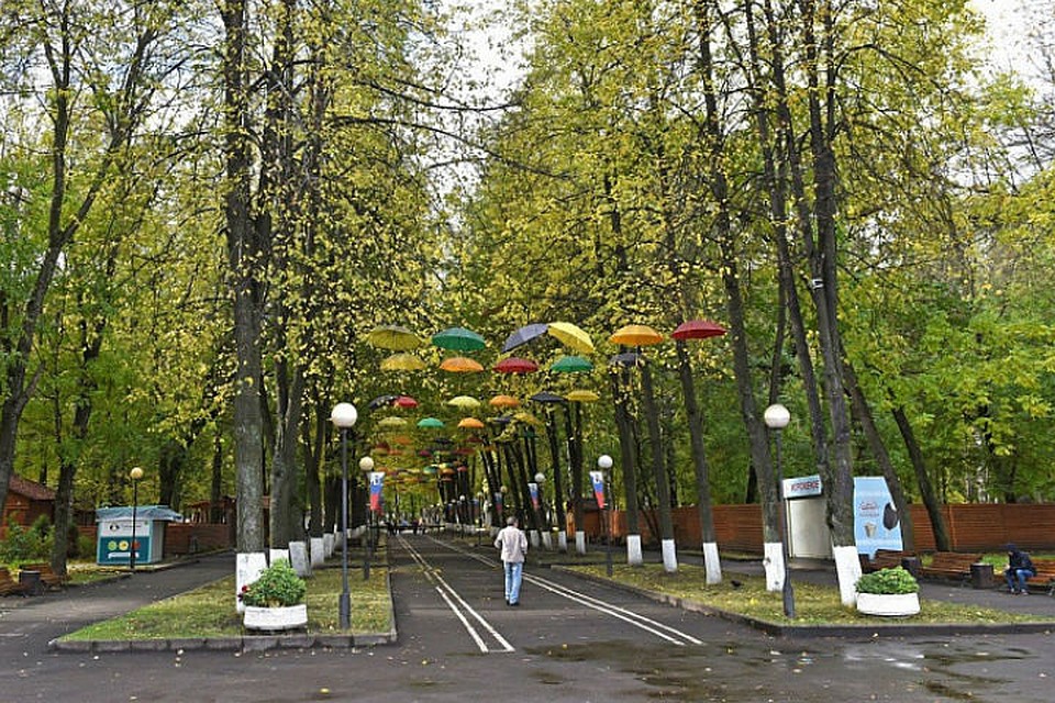 Юбилейный парк Ярославля ждет обновление.