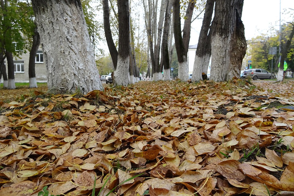 Сегодня в Тюмени зарядит дождь