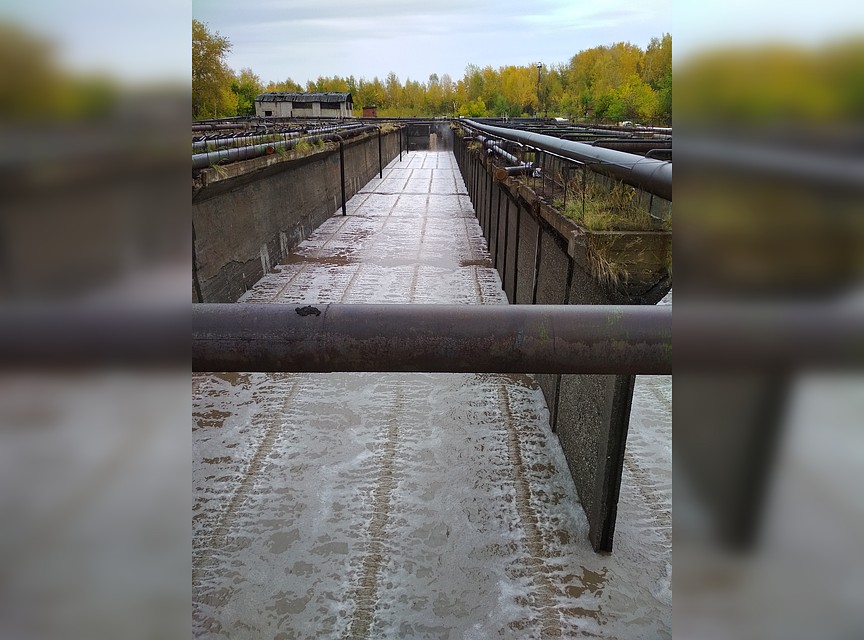 Фото предоставлено компанией