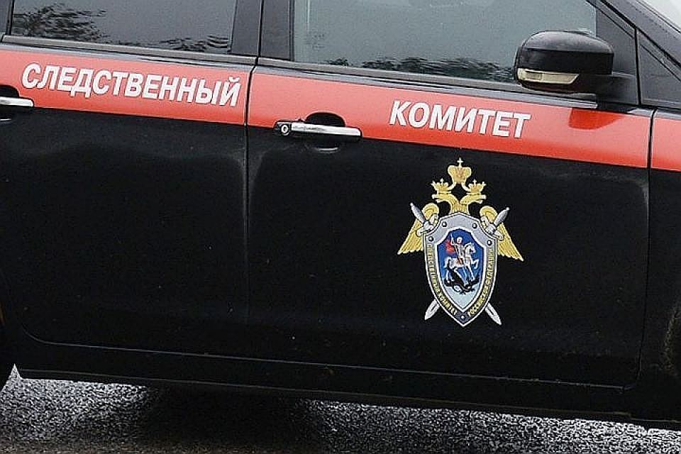 Следователи начали проверку по факту гибели женщины и подростка