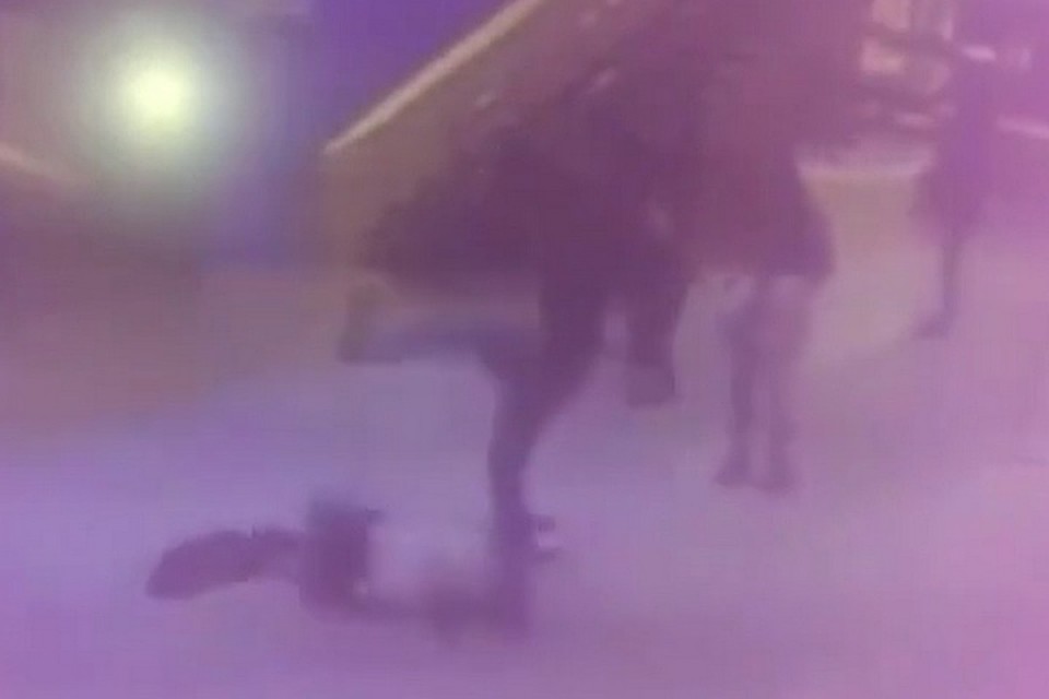 фото: скриншот видео