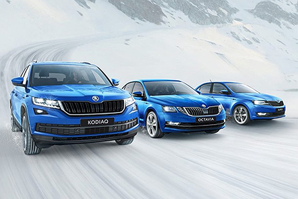 Модели KODIAQ, RAPID и OCTAVIA линейки Hockey Edition обновили дизайн. Фото: Волга-Раст.